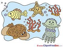 Marine Animals download printable Illustrations