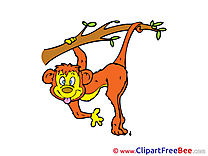 Monkey free printable Cliparts and Images