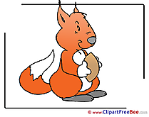 Nut Squirrel Pics printable Cliparts