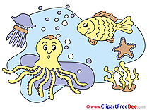 Octopus Fish Clipart free Image download