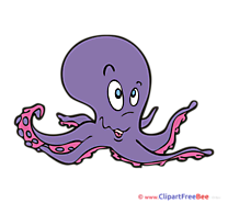Octopus Pics download Illustration