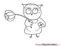 Owl Clipart free Illustrations