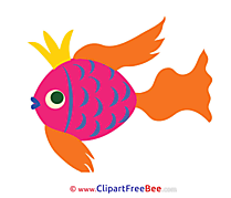 Pics free Fish download Image