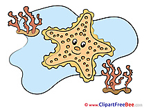 Pics Starfish printable Cliparts