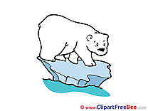 Polar Bear Cliparts printable for free