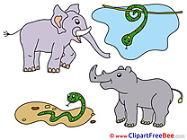 Rhino Snakes Clip Art download for free