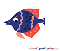 Sea Fish printable Illustrations for free