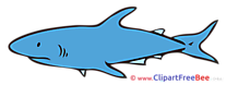 Shark free Cliparts for download