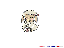 Tea Sheep Pics free download Image