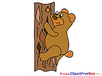 Tree Bear Pics printable Cliparts