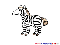 Zebra Cliparts printable for free