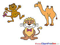 Zoo Pics free Illustration